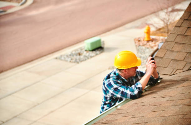 Best Roof Gutter Cleaning  in French Island, WI