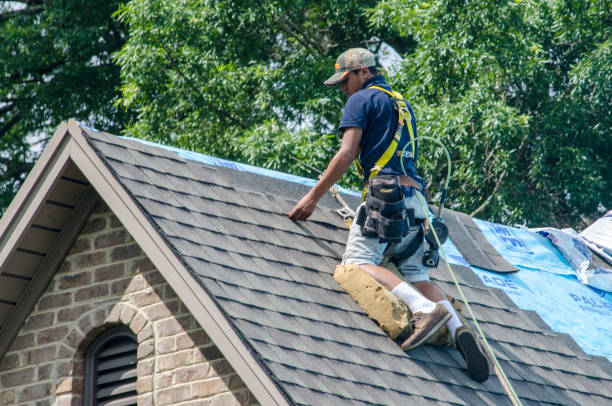 Best Roof Leak Repair  in French Island, WI