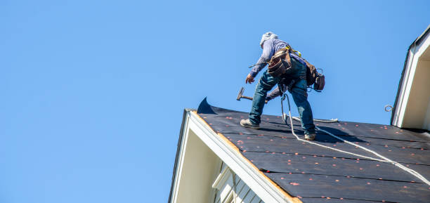 Best Flat Roof Repair Services  in French Island, WI